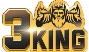 3King header logo